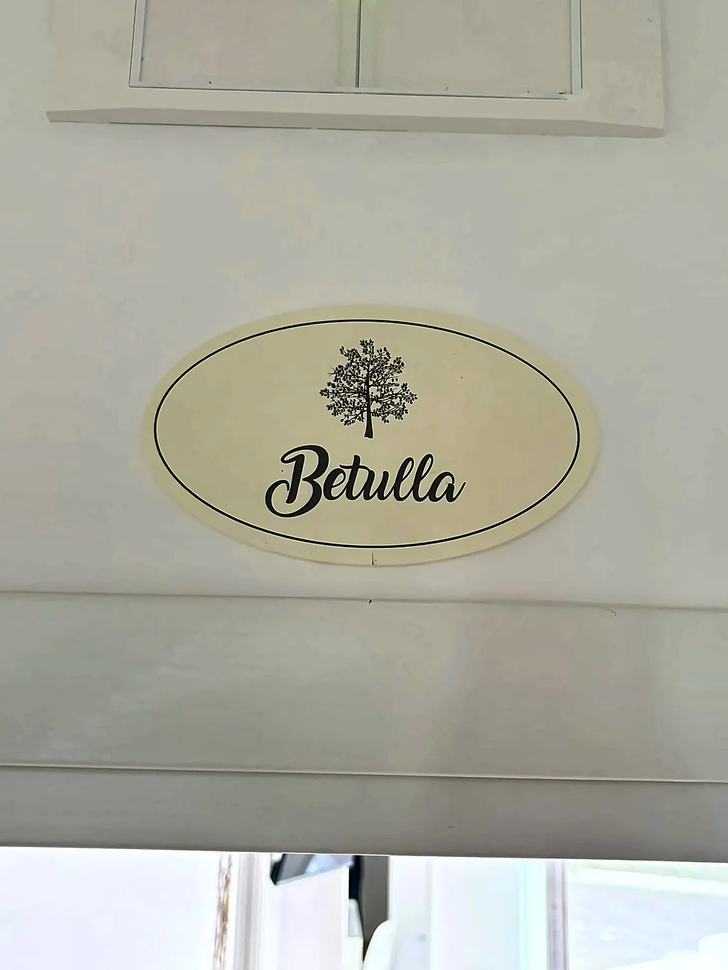 La targhetta ovale «Betulla» con l'albero disegnato