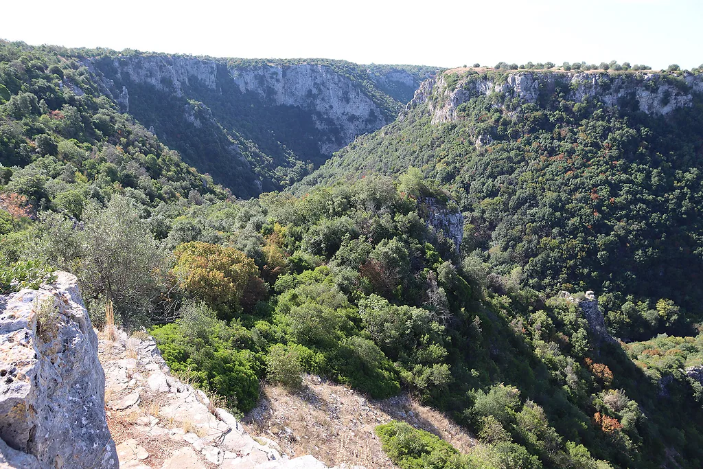 Le pareti boscose della Gravina di Laterza, nel Parco naturale regionale «Terra delle Gravine»