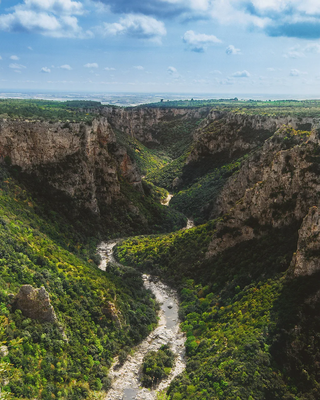 La Gravina di Laterza vista dall'alto: pareti di roccia ricoperte di macchia mediterranea e il letto del torrente sul fondo