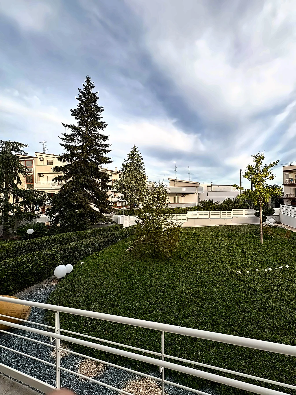 Il giardino visto dalla rampa: prato, un ginkgo e conifere sullo sfondo
