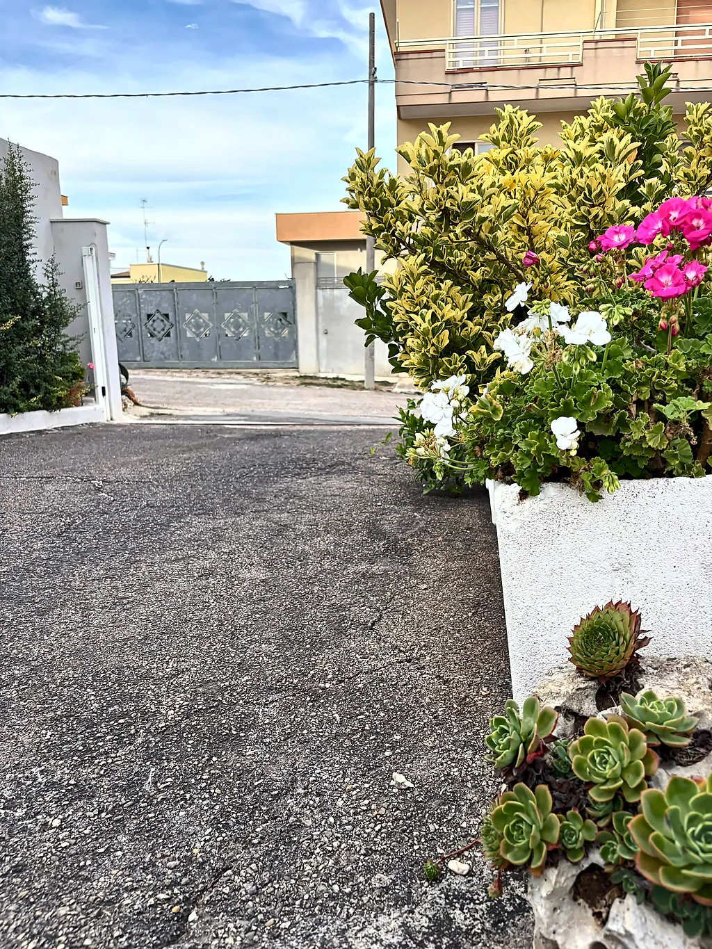 Un vaso bianco con fiori rosa e bianchi e piante grasse all'ingresso, con il cortile e il cancello sullo sfondo